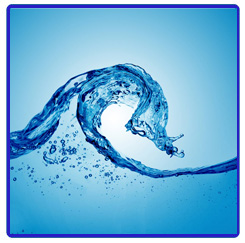 Ecolabel_logo_v5
